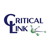 Critical Link LLC